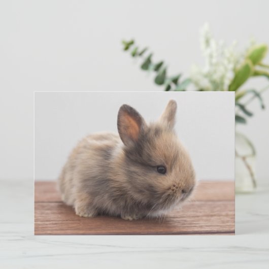 最も可愛い赤ん坊の動物 |ミニベビーバニー サンキューカード (スタンド正面)