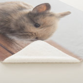 最も可愛い赤ん坊の動物 |ミニベビーバニー シェルパブランケット (3/4)