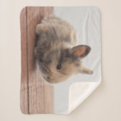 最も可愛い赤ん坊の動物 |ミニベビーバニー シェルパブランケット (正面)