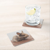 最も可愛い赤ん坊の動物 |ミニベビーバニー スクエアペーパーコースター (インサイチュ)