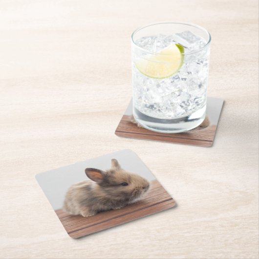 最も可愛い赤ん坊の動物 |ミニベビーバニー スクエアペーパーコースター (インサイチュ)