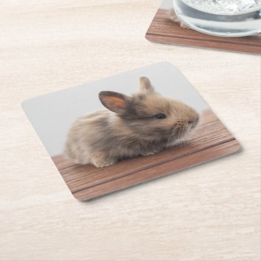 最も可愛い赤ん坊の動物 |ミニベビーバニー スクエアペーパーコースター (アングル)