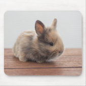 最も可愛い赤ん坊の動物 |ミニベビーバニー マウスパッド (正面)