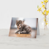 最も可愛い赤ん坊の動物 |ミニ虎猫子猫 カード (黄色い花)
