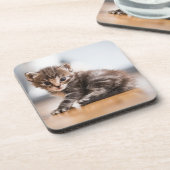 最も可愛い赤ん坊の動物 |ミニ虎猫子猫 コースター (左側)
