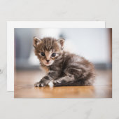 最も可愛い赤ん坊の動物 |ミニ虎猫子猫 サンキューカード (正面/裏面)