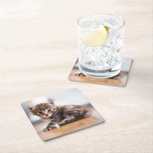 最も可愛い赤ん坊の動物 |ミニ虎猫子猫 スクエアペーパーコースター (インサイチュ)