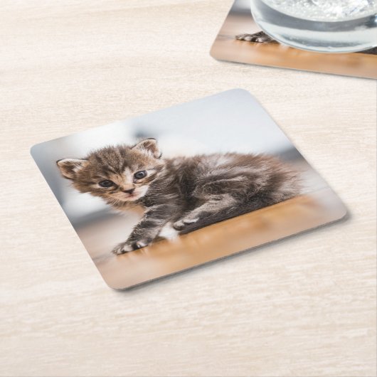 最も可愛い赤ん坊の動物 |ミニ虎猫子猫 スクエアペーパーコースター (アングル)