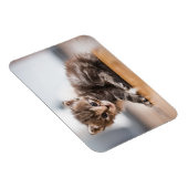 最も可愛い赤ん坊の動物 |ミニ虎猫子猫 マグネット (右側)