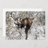 最も可愛い赤ん坊の動物 |ムースふくらはぎ サンキューカード (正面/裏面)