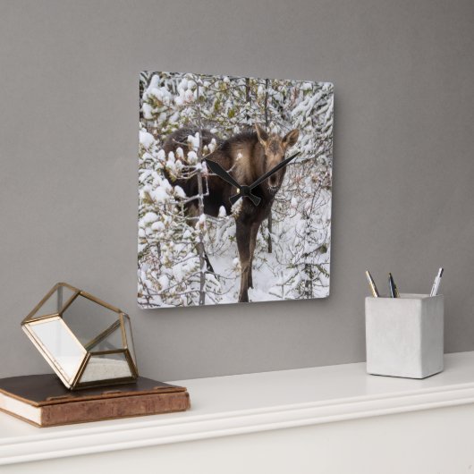 最も可愛い赤ん坊の動物 |ムースふくらはぎ スクエア壁時計 (オフィス)