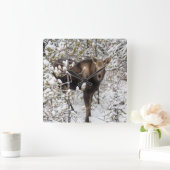 最も可愛い赤ん坊の動物 |ムースふくらはぎ スクエア壁時計 (ホーム)