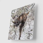 最も可愛い赤ん坊の動物 |ムースふくらはぎ スクエア壁時計 (傾斜)