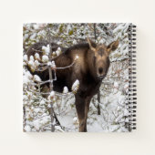 最も可愛い赤ん坊の動物 |ムースふくらはぎ ノートブック (裏面)