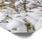 最も可愛い赤ん坊の動物 |ムースふくらはぎ ポスター (角)