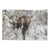 最も可愛い赤ん坊の動物 |ムースふくらはぎ 枕カバー (裏面)