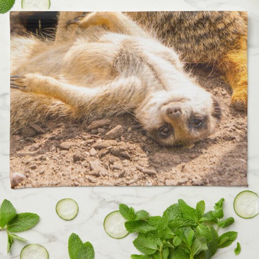 最も可愛い赤ん坊の動物 |メよくはしゃぐールカート キッチンタオル (折り畳み)