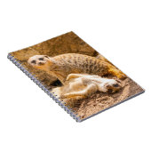 最も可愛い赤ん坊の動物 |メよくはしゃぐールカート ノートブック (右側)