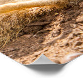 最も可愛い赤ん坊の動物 |メよくはしゃぐールカート ポスター (角)