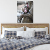 最も可愛い赤ん坊の動物 |モンキー日本のとベビー キャンバスプリント (インサイチュ (寝室))