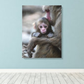 最も可愛い赤ん坊の動物 |モンキー日本のとベビー キャンバスプリント (インサイチュ (ウッドフロア))