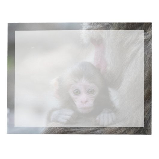 最も可愛い赤ん坊の動物 |モンキー日本のとベビー ノートパッド (正面)