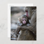 最も可愛い赤ん坊の動物 |モンキー日本のとベビー ポストカード (正面/裏面)