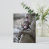 最も可愛い赤ん坊の動物 |モンキー日本のとベビー ポストカード (スタンド正面)