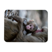 最も可愛い赤ん坊の動物 |モンキー日本のとベビー マグネット (横)