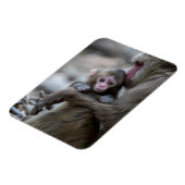 最も可愛い赤ん坊の動物 |モンキー日本のとベビー マグネット (左側)