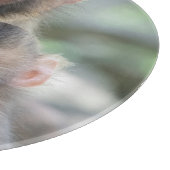 最も可愛い赤ん坊の動物 |モンキー日本のル カッティングボード (角)