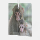 最も可愛い赤ん坊の動物 |モンキー日本のル ガラスオーナメント (正面左)
