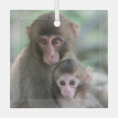 最も可愛い赤ん坊の動物 |モンキー日本のル ガラスオーナメント (正面)