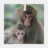 最も可愛い赤ん坊の動物 |モンキー日本のル ガラスオーナメント (裏面)