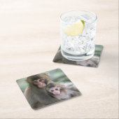 最も可愛い赤ん坊の動物 |モンキー日本のル スクエアペーパーコースター (インサイチュ)