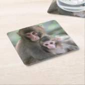 最も可愛い赤ん坊の動物 |モンキー日本のル スクエアペーパーコースター (アングル)