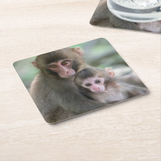 最も可愛い赤ん坊の動物 |モンキー日本のル スクエアペーパーコースター (アングル)