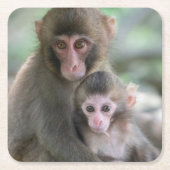 最も可愛い赤ん坊の動物 |モンキー日本のル スクエアペーパーコースター (正面)