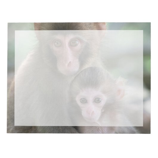 最も可愛い赤ん坊の動物 |モンキー日本のル ノートパッド (正面)