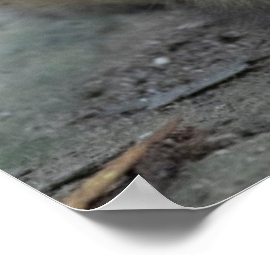 最も可愛い赤ん坊の動物 |モンキー日本のル ポスター (角)