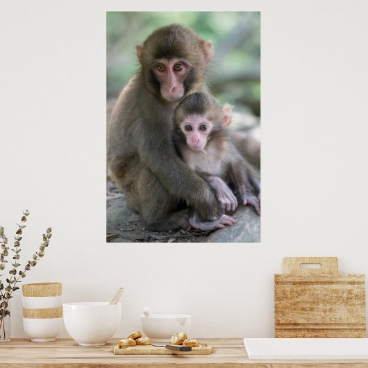 最も可愛い赤ん坊の動物 |モンキー日本のル ポスター (キッチン)
