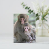 最も可愛い赤ん坊の動物 |モンキー日本のル ポストカード (スタンド正面)