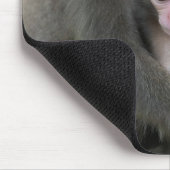 最も可愛い赤ん坊の動物 |モンキー日本のル マウスパッド (コーナー)
