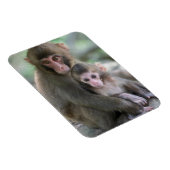 最も可愛い赤ん坊の動物 |モンキー日本のル マグネット (右側)