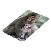 最も可愛い赤ん坊の動物 |モンキー日本のル マグネット (左側)