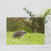 最も可愛い赤ん坊の動物 |ヨーロッパのヘッジホッグ サンキューカード (スタンド正面)