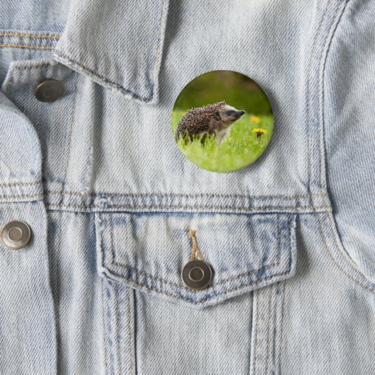 最も可愛い赤ん坊の動物 |ヨーロッパのヘッジホッグ 缶バッジ (インサイチュ)