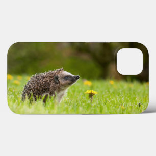 最も可愛い赤ん坊の動物 ヨーロッパのヘッジホッグ iPhone 13ケース