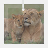 最も可愛い赤ん坊の動物 |ライオンの子と母 ガラスオーナメント (正面)