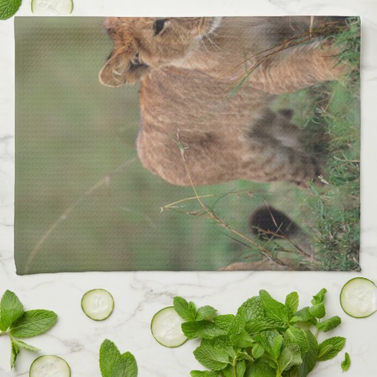 最も可愛い赤ん坊の動物 |ライオンの子と母 キッチンタオル (折り畳み)